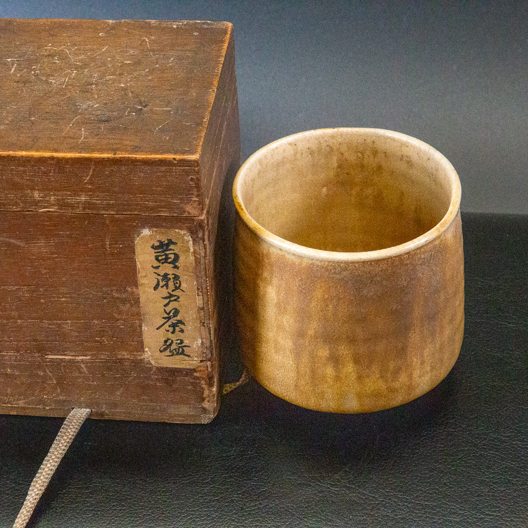黄瀬戸茶碗